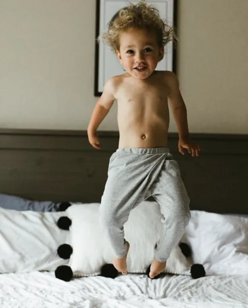 Little Fox - Field Pant - Stone